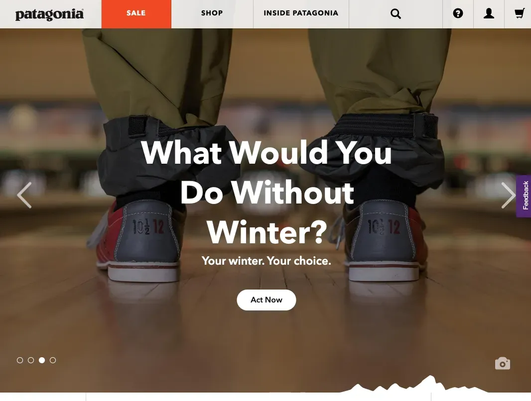patagonia personality psychographic segmentation